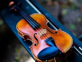 Cómo elegir y cuidar las cuerdas del violín: Guía completa para músicos